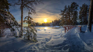 Snowy path lake sunset forest - a snowy path free wallpaper