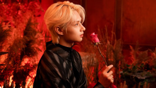 Young man rose red background - free valentines wallpaper