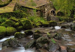 Lush green forest stream stone - a stone building free wallpaper