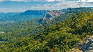 Mountain bird forest panorama sunset - a forest below free wallpaper