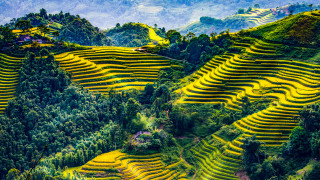 Yellow terraces valley mountains ecological - a valley free wallpaper