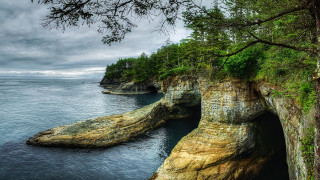 Cliff water forest matte painting - a forest free wallpaper