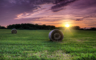 Haybales field sunset purple sky 2 - hdri free wallpaper