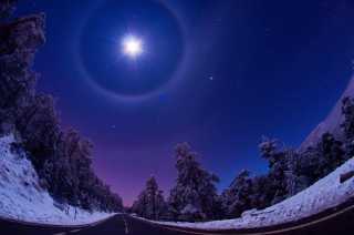 Road star trees snow moon - free stars wallpaper