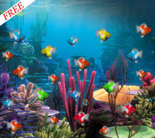 Fish aquarium colored fish free - adobe photoshop free wallpaper for tablet
