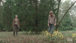 Two people field trees background - one person free wallpaper