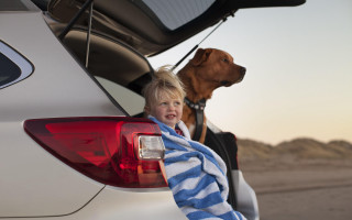 Boy dog car towel photorealism - christabel dennison free wallpaper