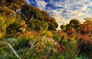 Garden flowers trees clouds summer - summer vibrancy free wallpaper