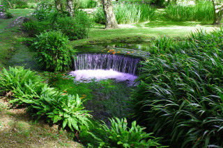Small waterfall garden pond plants - ecological art free wallpaper