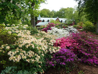 Garden flowers trees colorful nature - american impressionism free wallpaper