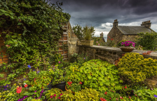 Garden stonewall pottedflowers cloudy sky - a garden free wallpaper