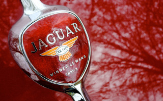 Red spoon trees red moon 2 - free motorcycles wallpaper