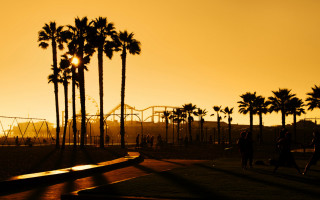Sunset palm trees rollercoaster autumn - ben thompson free wallpaper