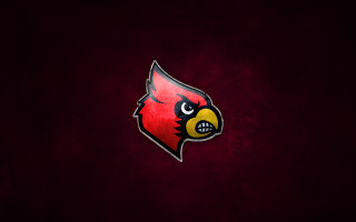 Cardinal head red black background - northwest school free wallpaper