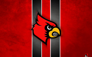 Red black wall red bird - a red bird free wallpaper