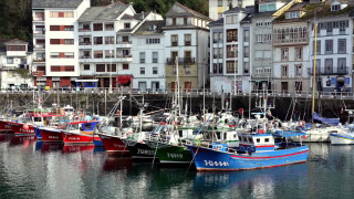 Boats harbor cityscape bridge buildings - a group of boats free wallpaper