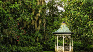 Gazebo park moss trees bench - charles ragland bunnell free wallpaper