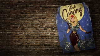 Brick wall black canary woman - western comic book art free wallpaper for desktop