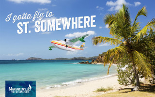 Plane beach palmtree bluesky clouds - over a beach free wallpaper