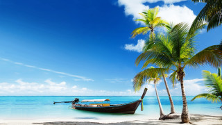 Boat beach palm trees blue 4 - felipe seade free wallpaper