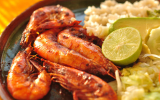 Shrimp plate food delicious gourmet - ceferí olivé free wallpaper