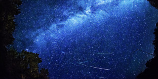 Night sky shooting star trees - shooting free wallpaper for desktop