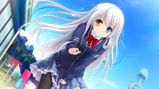 Anime girl white hair bow - the street free wallpaper