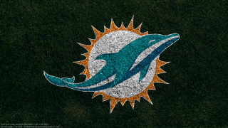 Miami dolphins logo green grass - a green grass field free wallpaper