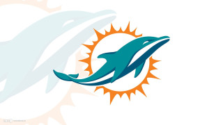 Dolphins logo sun background dolphin - the front of its free wallpaper for desktop