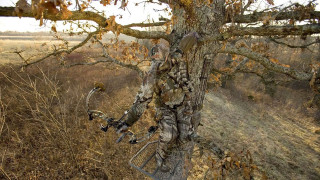 Tree stand hunting blind field - realism free wallpaper