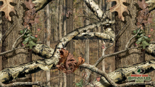 Tree leaves mossy branch background - asher brown durand free wallpaper
