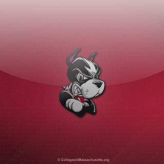 Cartoon character red background bear - allan brooks free wallpaper for tablet