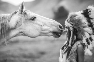Native american woman horse field - a feather free wallpaper