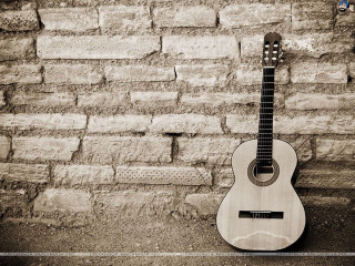Guitar brick wall black white - celia fiennes free wallpaper