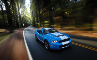Blue car driving road forest 6 - both side of the road free wallpaper