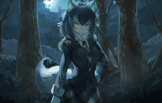 Girl dark forest wolf shoulder - a dark forest free wallpaper