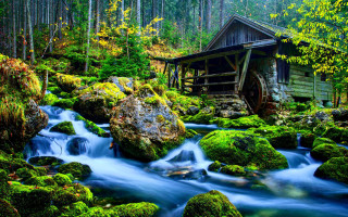 Forest stream moss rocks wooden - green moss free wallpaper