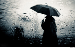 Person standing rain umbrella raindrop - dirk crabeth free wallpaper for desktop