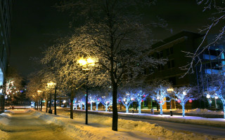 Snowy street night streetlight trees - a snowy street free wallpaper