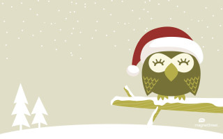 Christmas owl santa hat branch - a santa hat free wallpaper
