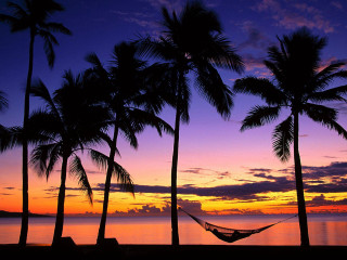 Hammock palm trees sunset beach - a hammock free wallpaper