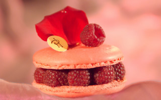 Small pastry raspberries flower top - delaunay free wallpaper for desktop