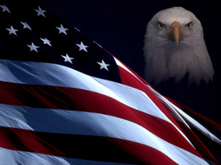 Bald eagle flag dark sky - a dark sky background free wallpaper
