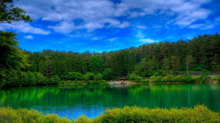 Lake forest boat bushes blue - choi buk free wallpaper
