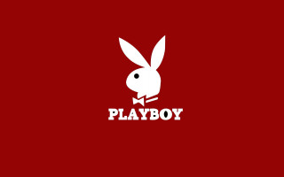 Rabbit bowtie playboy chest image - a rabbit free wallpaper