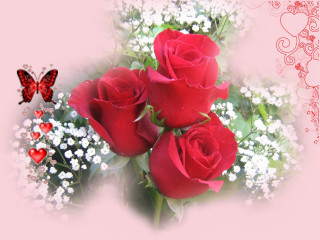 Bouquet roses butterfly pink background - felipe seade free wallpaper
