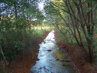 Stream forest trees grass nature - river free wallpaper
