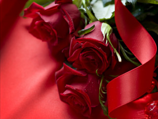 Red roses bouquet ribbon blurry - a bouquet free wallpaper