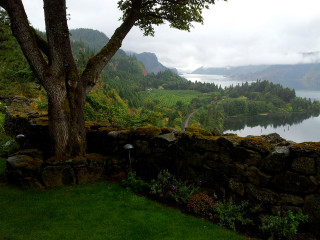 Tree lake mountain sky nature - a few cloud free wallpaper for desktop