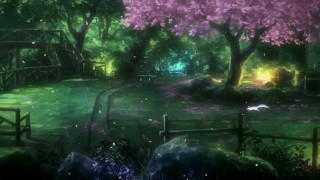 Park bridge trees dog laying - the background and a dog free wallpaper